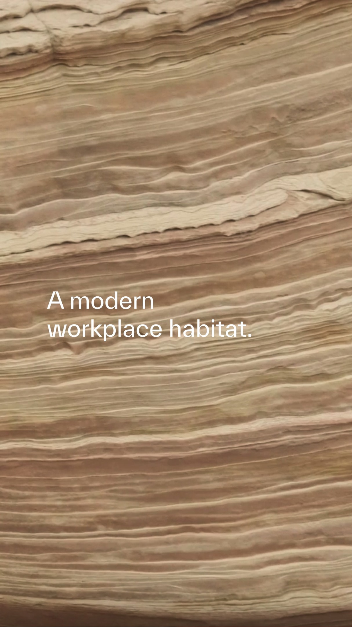 Studio 13 | Instagram